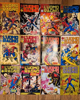 Uomo Ragno settimanale con adesivi