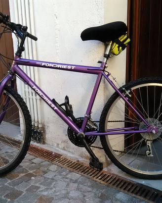 Mountain bike