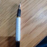 penna stilografica e collana