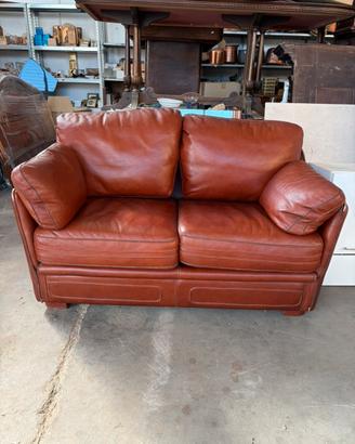 2 divani  in pelle di Roche Bobois
