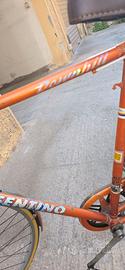 Bici da passeggio