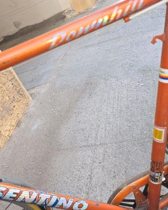 Bici da passeggio
