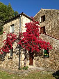 Casa punta licosa Castellabate