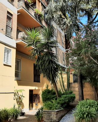 Roma, camera da luglio libera per ragazza