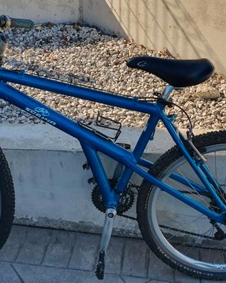 Bicicletta Mtb ragazzo