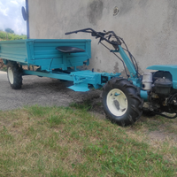 Motoagricola Bertolini 308