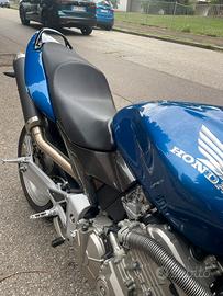 Hornet 600