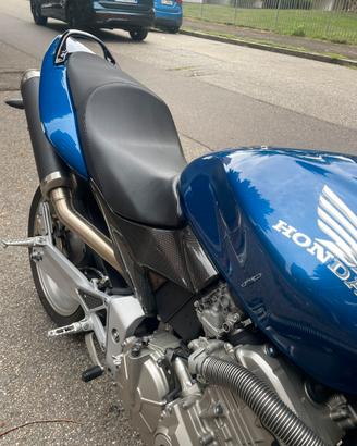 Hornet 600