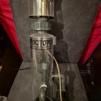 Schiumatoio reef octopus