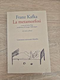 La metamorfosi  - Franz Kafka