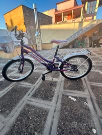 Bici banbima