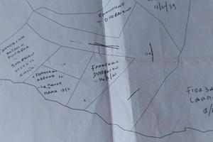 Terreno boschivo Montegiordano Marina