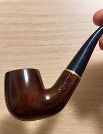 Pipa R. Gasparini