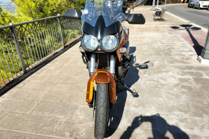 Moto Guzzi Stelvio 1200 del 2013