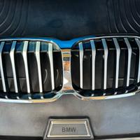 Griglia Calandra Bmw Serie 1 F40