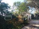 villa-con-2000-mq-di-giardino