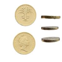 1985 Moneta Collezione round pound