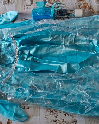 costume carnevale  Elsa di Frozen