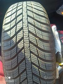 Due Gomme Nexen quattro stagioni