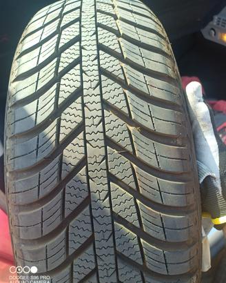 Due Gomme Nexen quattro stagioni