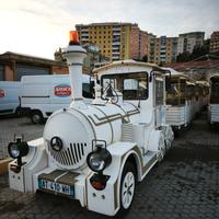 Trenino turistico da nazionalizzare