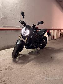 rkf125 2024