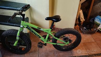 Bicicletta bianchi