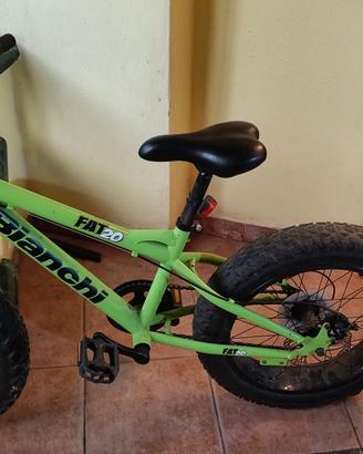 Bicicletta bianchi