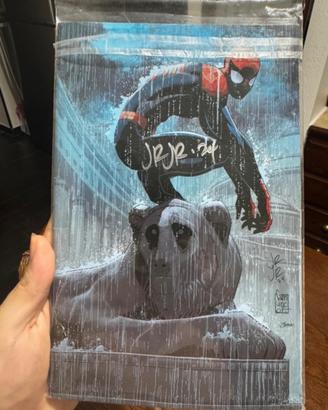 Amazing Spider-Man 41/841 - Variant Exclusive Napo