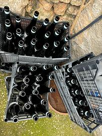 Bottiglie vino vuote
