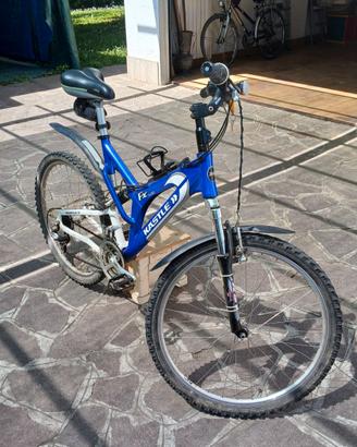 Mountain bike