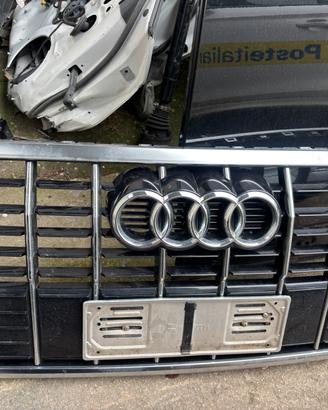 Griglia centrale audi q3 2018