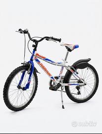 bicicletta