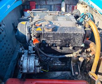 LOMBARDINI 29 HP tre cilindri completo 