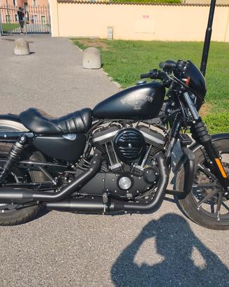 Harley Davidson 
