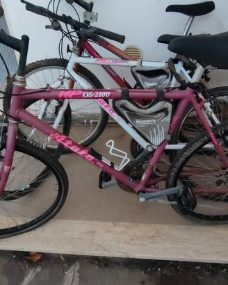 Bici da Passeggio-MTB del 1995 a Ladispoli