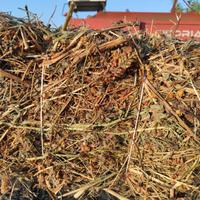 Fieno 2025 di qualità