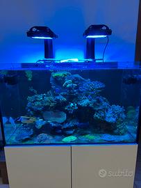 ACQUARIO MARINO COMPLETO - ALLESTITO E PRONTO USO
