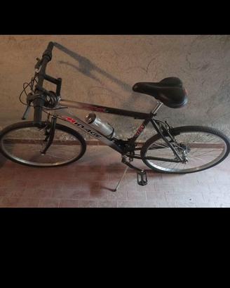bici uomo ragazzo 