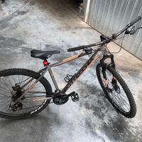 Bicicletta mountain bike bottecchia