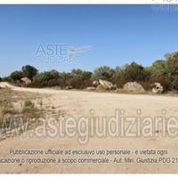 Terreno Agricolo Olbia [A4321511]