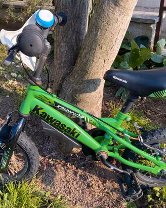 Bici Kawasaki/Krunch '12