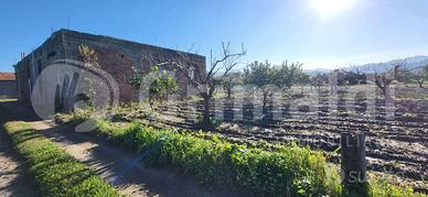 Terreno Agricolo San Pier Niceto