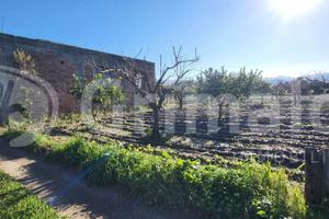 Terreno Agricolo San Pier Niceto