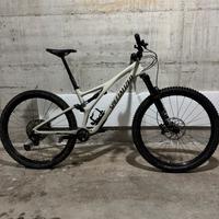 Specialized Stumpjumper Carbon