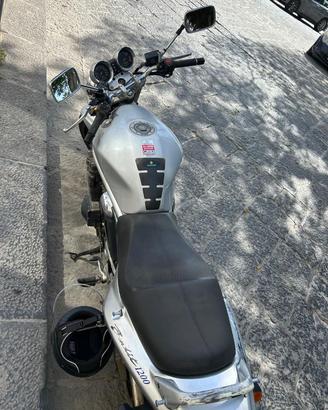 Provami 1.200 Bandit 1500 COMPRESO PASSAGGIO