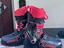 Immagine 6