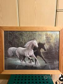 Quadro cavalli