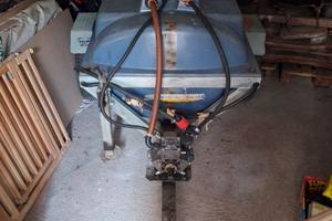 Botte irrigazione 1000 L