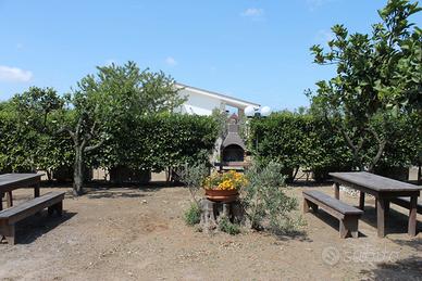 Appartamento 4 posti letto Villa vicino Gallipoli